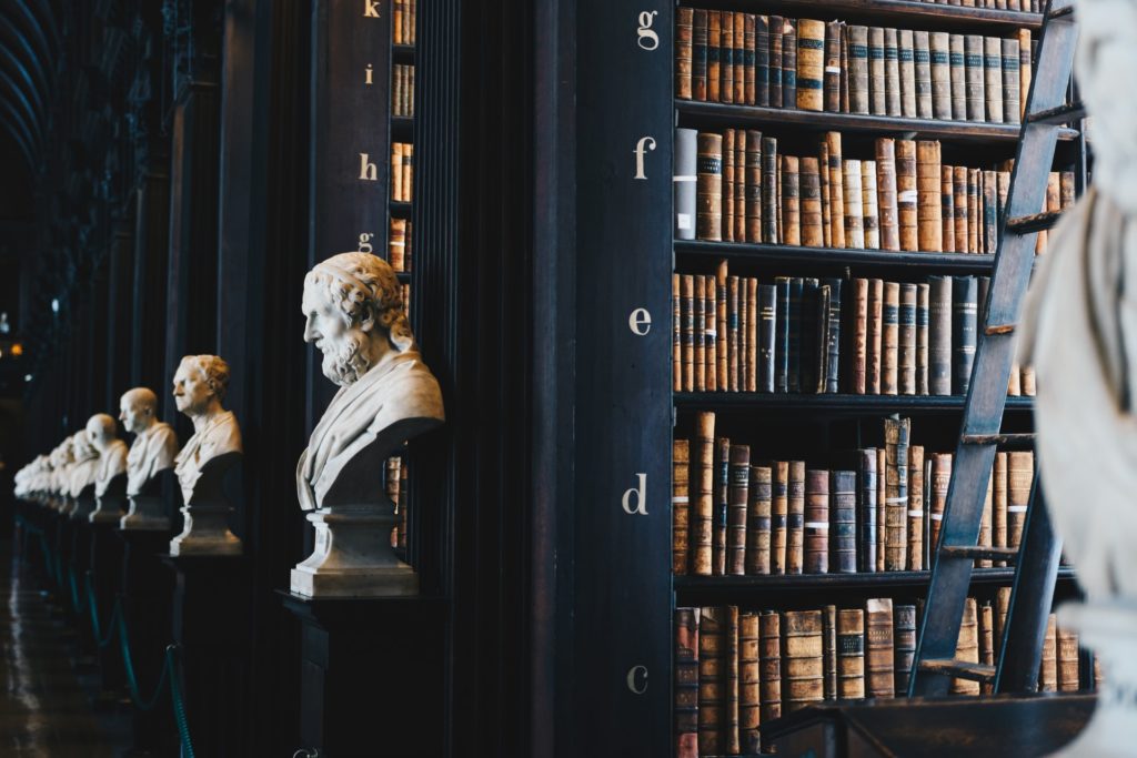 bookshelves and statue busts