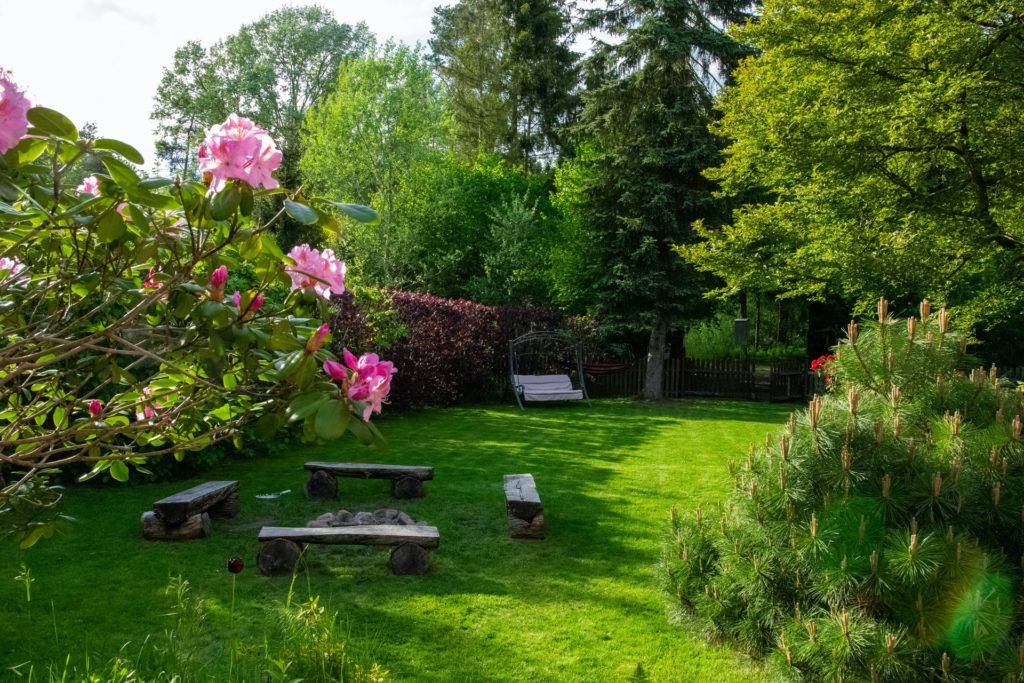 backyard with pink flowers